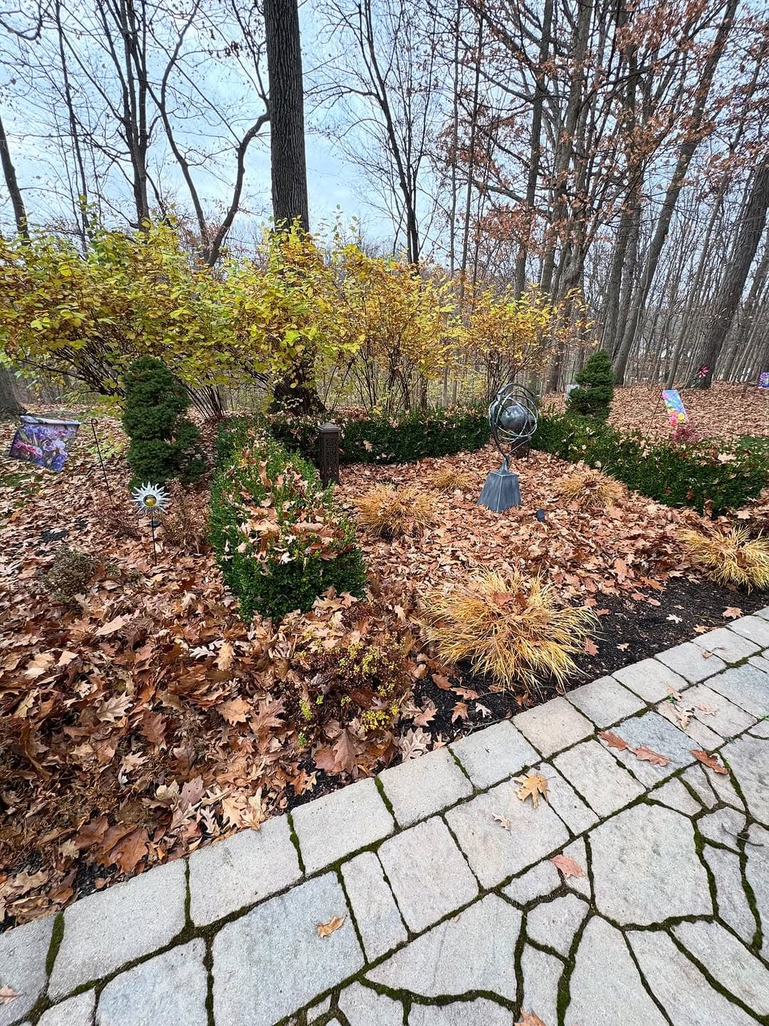 Backyard Cleanup - Before