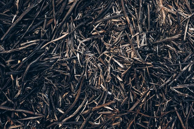 Mulch and Decorative Rock Installation