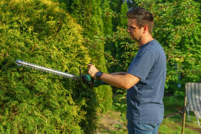 Shrub Trimming and Shaping